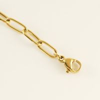 Casual Simple Style Solid Color 304 Stainless Steel Plating Titanium Steel 18K Gold Plated Women'S Anklet main image 5