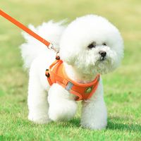 New Dog Breast Strap Vest Dog Hand Holding Rope Reflective Breathable Dog Rope Pet Supplies Wholesale main image 1