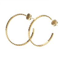 1 Pair Ins Style C Shape Round Plating Titanium Steel 18k Gold Plated Ear Studs main image 2