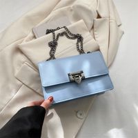 Women's Small All Seasons Pu Leather Vintage Style Shoulder Bag Chain Bag sku image 4
