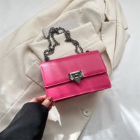 Women's Small All Seasons Pu Leather Vintage Style Shoulder Bag Chain Bag sku image 3