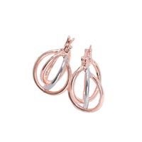 Simple Style Color Block Metal Plating Rose Gold Plated Women's Earrings main image 6