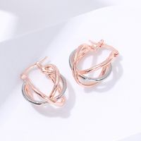 Simple Style Color Block Metal Plating Rose Gold Plated Women's Earrings main image 3
