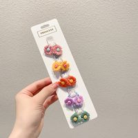 Elegant Rainbow Fruit Flower Arylic Cloth Rubber Band 1 Set sku image 39