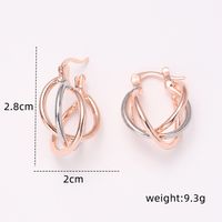 Simple Style Color Block Metal Plating Rose Gold Plated Women's Earrings main image 2