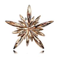 Shiny Star Flower Alloy Inlay Acrylic Women's Brooches sku image 5