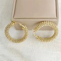 1 Pair Lady Round Stainless Steel Earrings main image 3