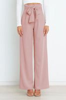 Women's Holiday Simple Style Streetwear Solid Color Full Length Bowknot Straight Pants main image 5