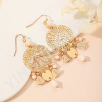 Ethnic Style Simple Style Dreamcatcher Artificial Crystal Copper Tassel Hollow Out Women's Drop Earrings sku image 2