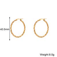 1 Pair Basic Vintage Style Classic Style Solid Color Plating Stainless Steel 18k Gold Plated Hoop Earrings sku image 3