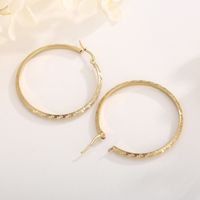1 Pair Casual Simple Style Solid Color Plating Titanium Steel 18K Gold Plated Hoop Earrings main image 4