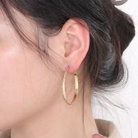 1 Pair Casual Simple Style Solid Color Plating Titanium Steel 18K Gold Plated Hoop Earrings main image 9