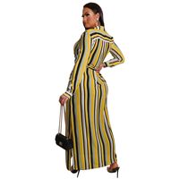 Shirt Dress Streetwear Turndown Belt Long Sleeve Stripe Maxi Long Dress Daily main image 4