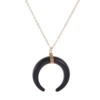 Wholesale Jewelry Basic Horns Plastic Resin Pendant Necklace main image 4