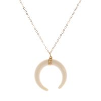 Wholesale Jewelry Basic Horns Plastic Resin Pendant Necklace sku image 1