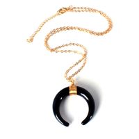 Wholesale Jewelry Basic Horns Plastic Resin Pendant Necklace main image 6