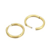 1 Pair Streetwear Solid Color Titanium Steel 18K Gold Plated Hoop Earrings sku image 20