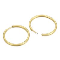 1 Pair Streetwear Solid Color Titanium Steel 18K Gold Plated Hoop Earrings sku image 22