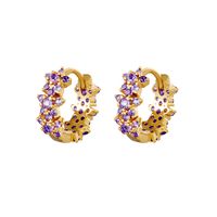 Foreign Trade European And American C-shaped Earrings Purple Zircon Earrings S925 Silver Needle Earrings Set sku image 30