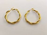 1 Pair Modern Style Simple Style Twist Plating 304 Stainless Steel 18K Gold Plated Earrings main image 1