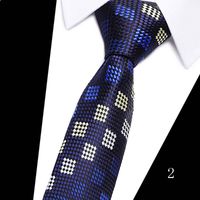 2023 Tie Spot Tie Wholesale Tie Manufacturer 7.5cm Business Men's Formal Wear Polyester Silk Tie sku image 2
