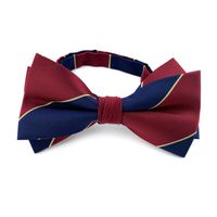 Factory In Stock Supply Men's Bow Tie Korean Fashion Wedding Bridegroom Bow Suit Banquet Bow Tie main image 6