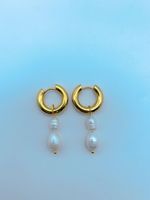 1 Pair Elegant Simple Style Round Freshwater Pearl Titanium Steel Plating 18k Gold Plated Earrings sku image 8