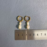 1 Pair Elegant Simple Style Round Freshwater Pearl Titanium Steel Plating 18k Gold Plated Earrings sku image 6