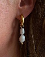 1 Pair Elegant Simple Style Round Freshwater Pearl Titanium Steel Plating 18k Gold Plated Earrings main image 1
