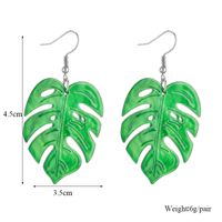 Tropical Leaves Arylic Three-dimensional Women's Drop Earrings main image 3