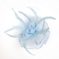 Boutique Maille Tête Fleur Plume Accessoires Chapeau Haut De Forme Épingle À Cheveux Mariée sku image 2