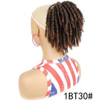 Women's Simple Style Weekend High Temperature Wire Ponytail Wigs main image 4