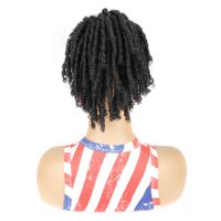 Women's Hip-hop Casual Domestic Silk Ponytail Wigs main image 2