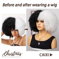 Women's Hip-hop Street High Temperature Wire Bangs Short Curly Hair Wigs main image 5