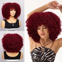 Women's Hip-hop Street High Temperature Wire Bangs Short Curly Hair Wigs main image 4