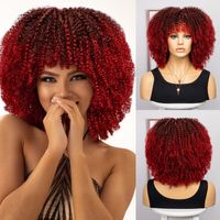 Women's Hip-hop Street High Temperature Wire Bangs Short Curly Hair Wigs main image 2