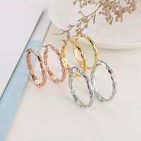 1 Pair Simple Style Streetwear Twist Plating Stainless Steel 18K Gold Plated Rose Gold Plated Earrings main image 1