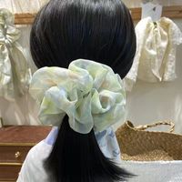 Lady Pastoral Ditsy Floral Gauze Hair Tie main image 3