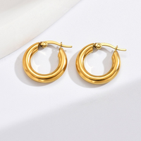 1 Pair Simple Style Round Polishing Plating 304 Stainless Steel 14K Gold Plated Hoop Earrings main image 1
