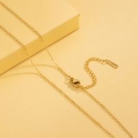 Stainless Steel 18K Gold Plated Simple Style Plating Solid Color Necklace main image 8