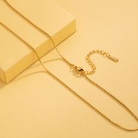 Stainless Steel 18K Gold Plated Simple Style Plating Solid Color Necklace main image 3