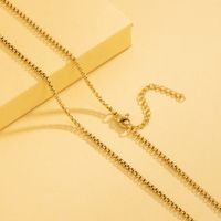 Stainless Steel 18K Gold Plated Simple Style Plating Solid Color Necklace main image 5