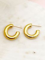 1 Pair Modern Style C Shape Polishing Plating Inlay 304 Stainless Steel Zircon 14K Gold Plated Ear Studs main image 3