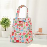Commute Multicolor Oxford Cloth Aluminum Film Freshness Protection Package Picnic Bag sku image 2