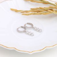1 Pair Ins Style Round Sterling Silver Inlay Zircon White Gold Plated Gold Plated Drop Earrings main image 5