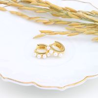 1 Paar Elegant Retro Geometrisch Sterling Silber Inlay Künstliche Perlen Ohrringe main image 2