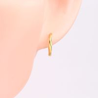 1 Pair Simple Style Twist Sterling Silver Plating White Gold Plated Gold Plated Earrings main image 2