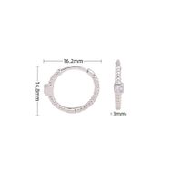1 Pair Simple Style Circle Sterling Silver Inlay Zircon White Gold Plated Gold Plated Earrings sku image 1