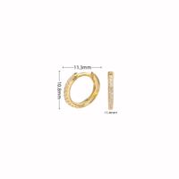1 Pair Simple Style Circle Sterling Silver Inlay Zircon White Gold Plated Gold Plated Earrings sku image 2