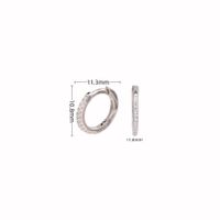 1 Pair Simple Style Circle Sterling Silver Inlay Zircon White Gold Plated Gold Plated Earrings sku image 1